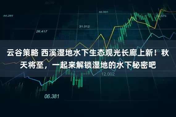 云谷策略 西溪湿地水下生态观光长廊上新！秋天将至，一起来解锁湿地的水下秘密吧