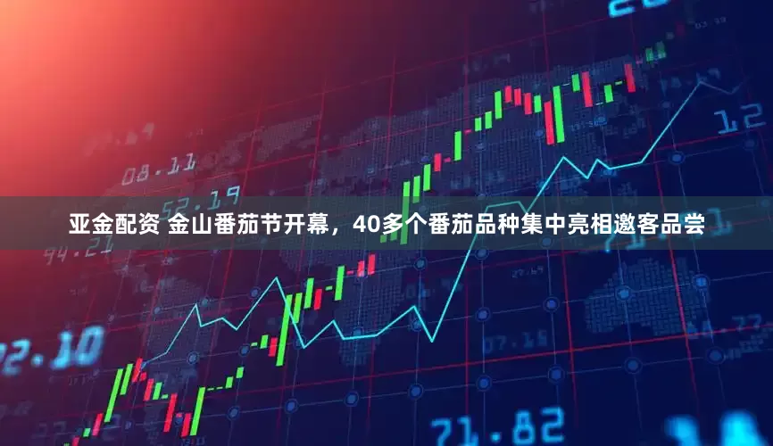 亚金配资 金山番茄节开幕，40多个番茄品种集中亮相邀客品尝